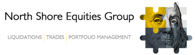 North Shore Equities Group logo